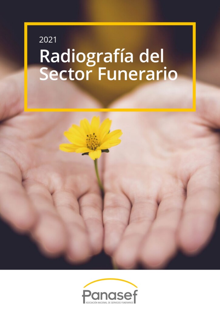 Panasef – Radiografia Sector 2021 – V5_pages-to-jpg-0001