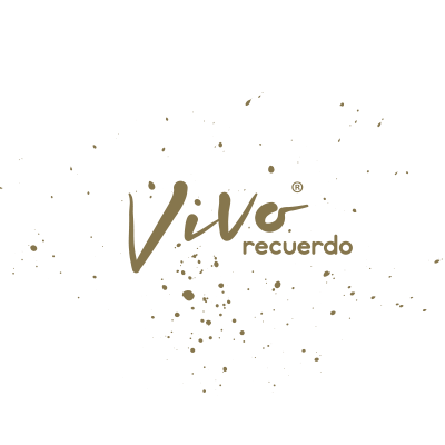 logo-vrdo-forum-panasef