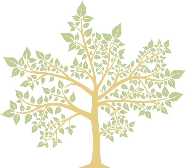 Arbol 02 árbol 2