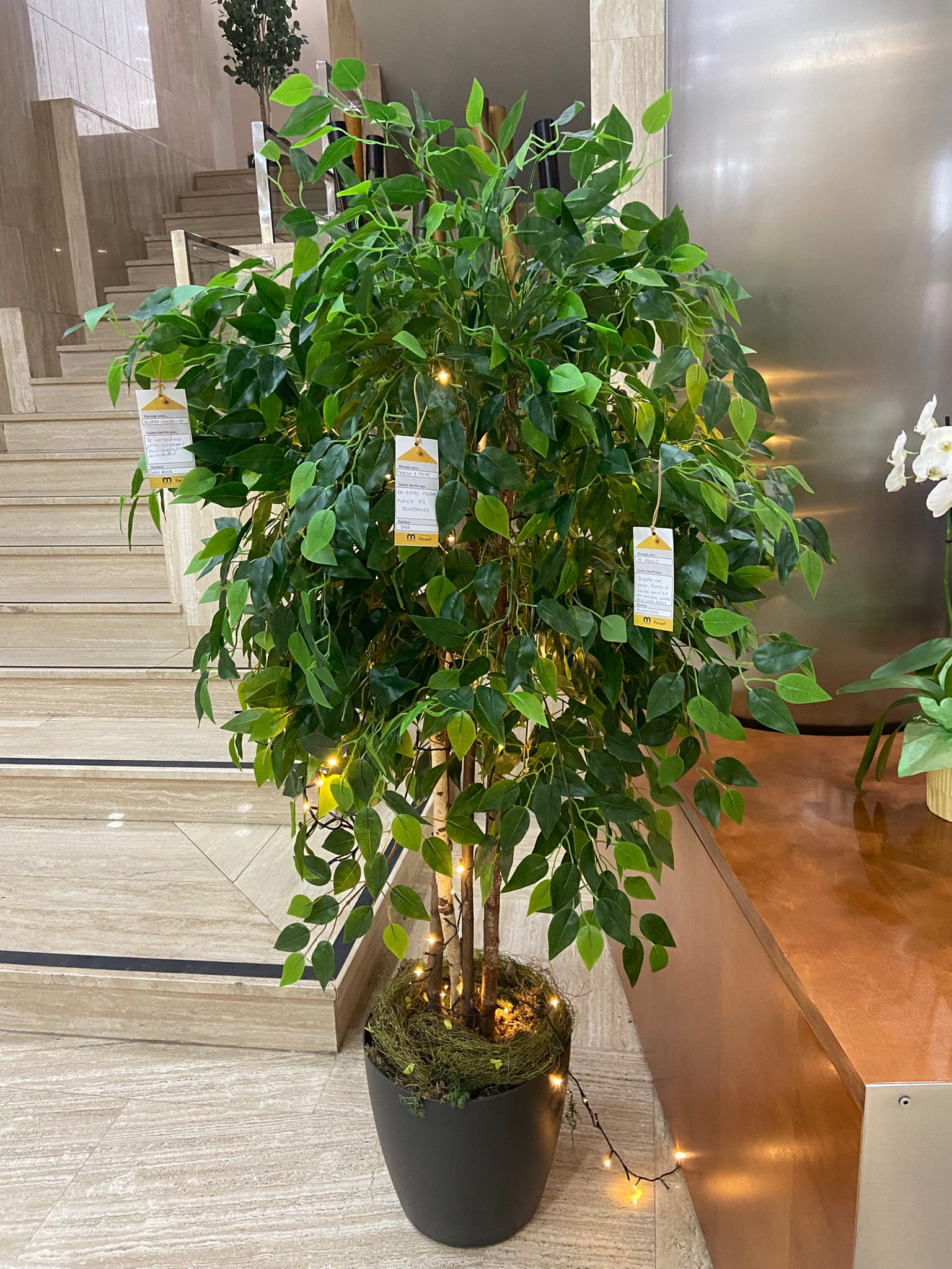 Árbol Bilbao – Mémora