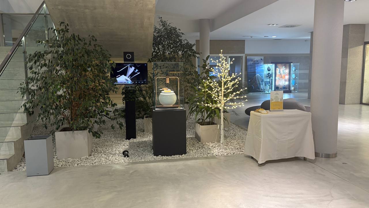 Arbol del recuerdo — Albia Coruña