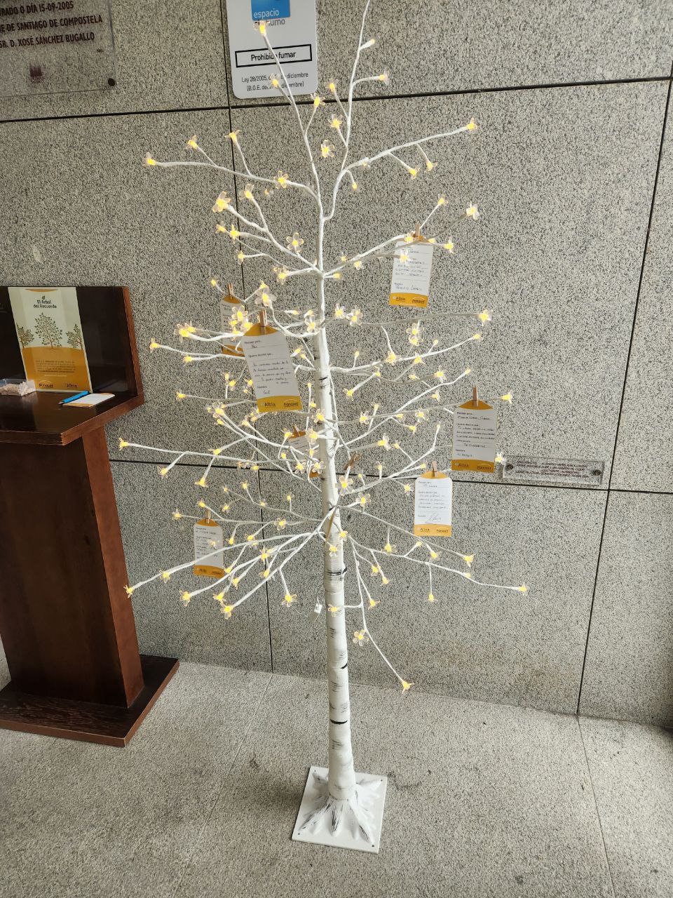 Arbol del recuerdo — Albia Santiago 1