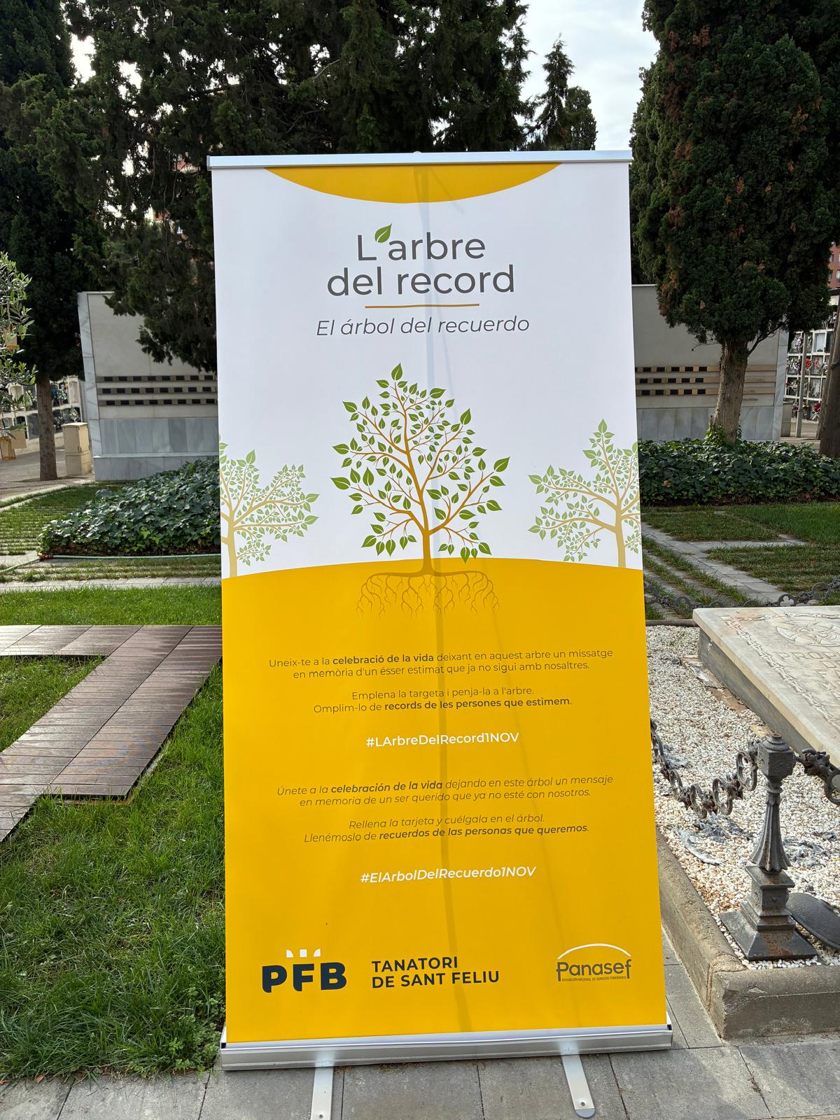 WhatsApp Image 2025-11-01 at 10.36.37 (5)